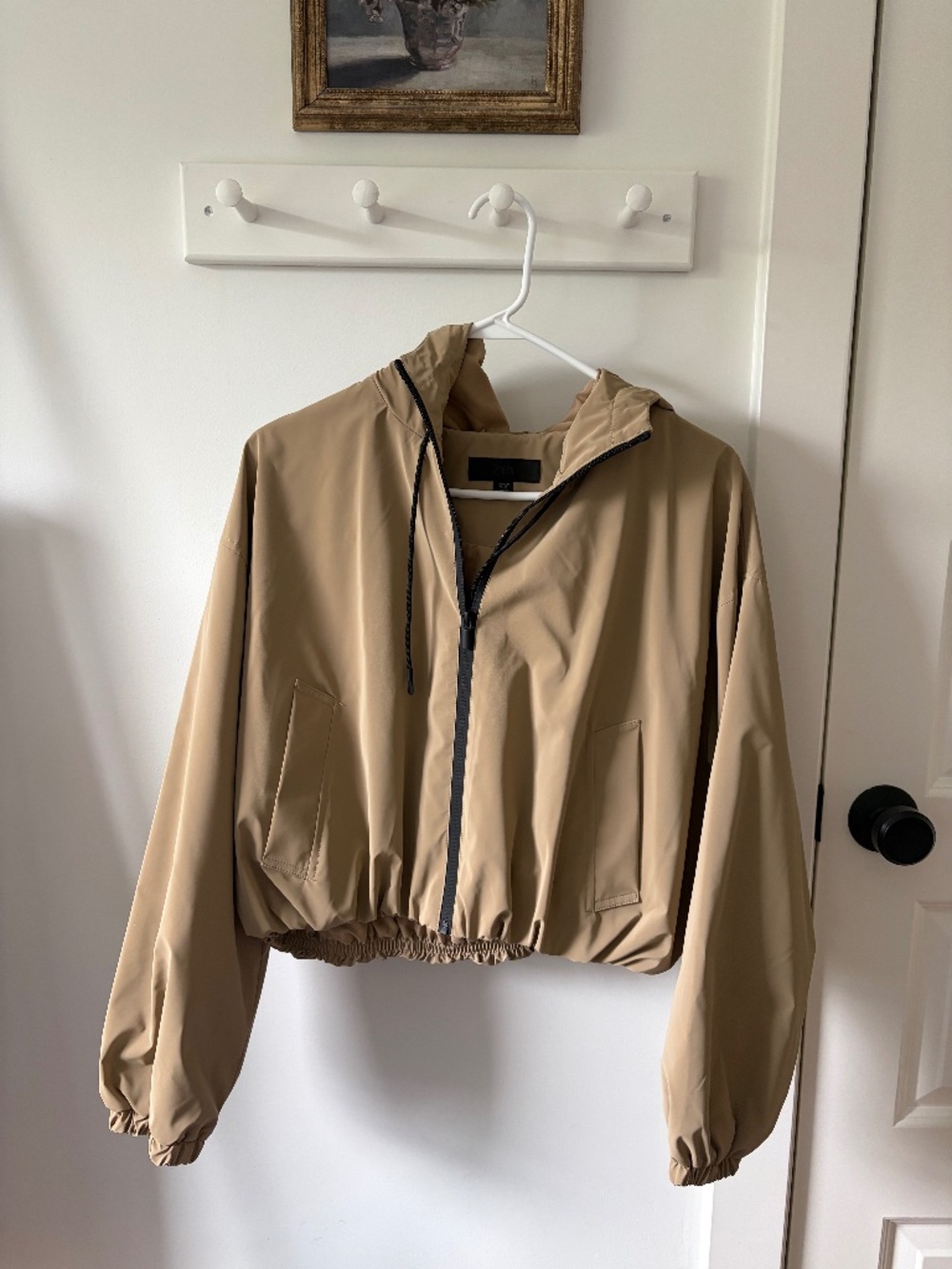 Zara Windbreaker Jacket